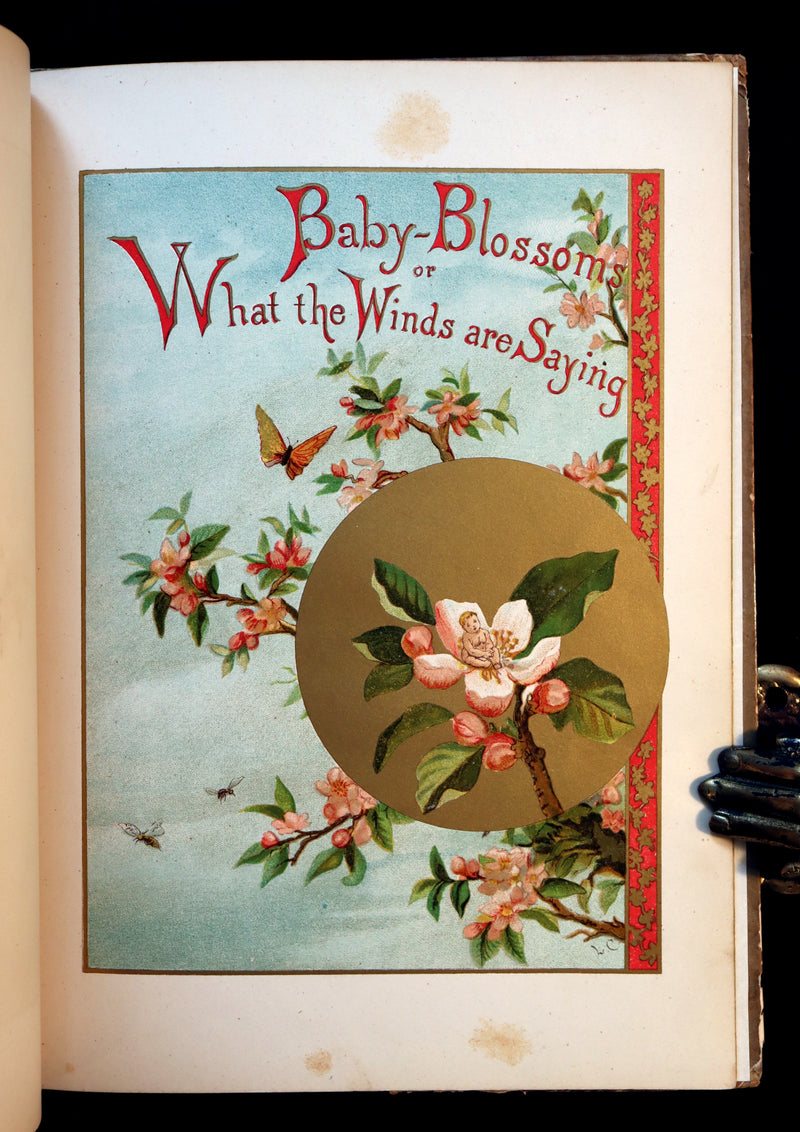 1882 Scarce Victorian FAIRY Book ~ LOUISE CLARKSON FLY-AWAY FAIRIES AND BABY-BLOSSOMS. 1stED.