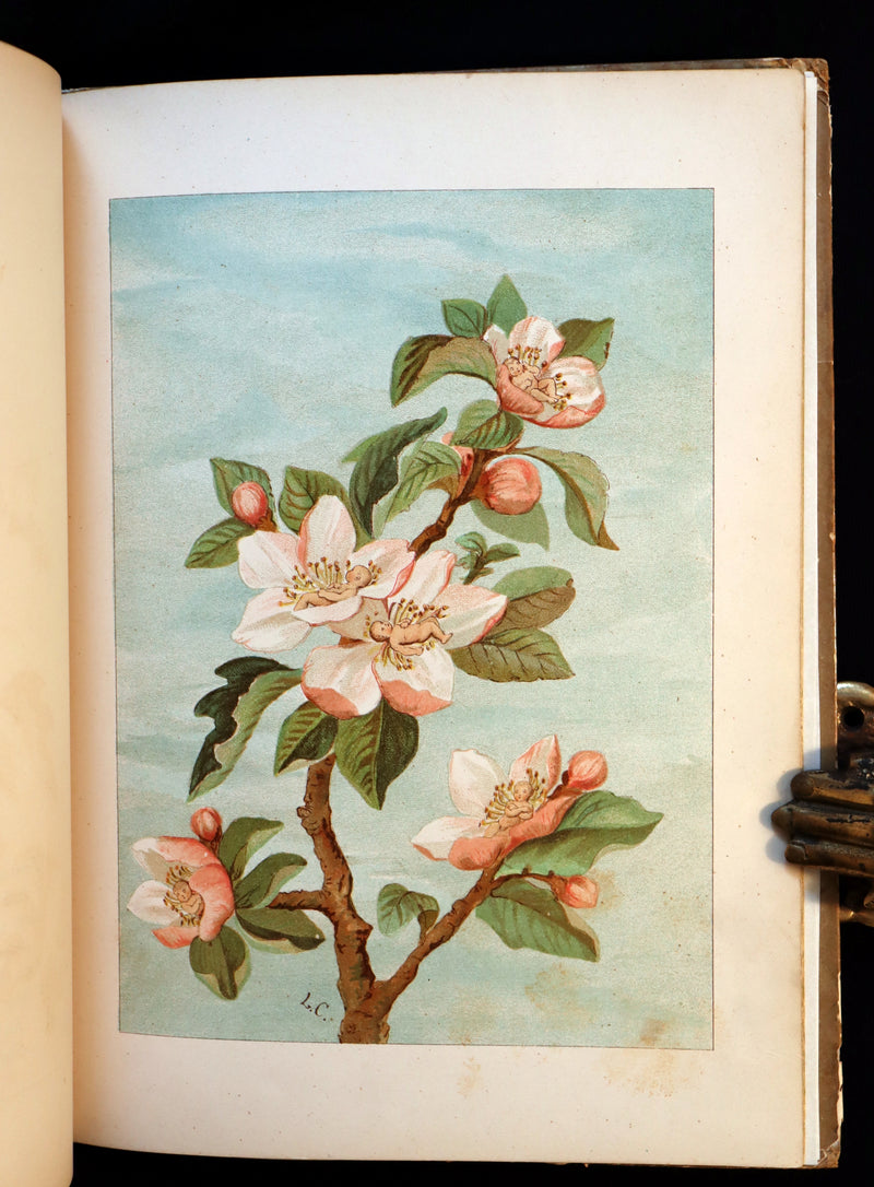1882 Scarce Victorian FAIRY Book ~ LOUISE CLARKSON FLY-AWAY FAIRIES AND BABY-BLOSSOMS. 1stED.