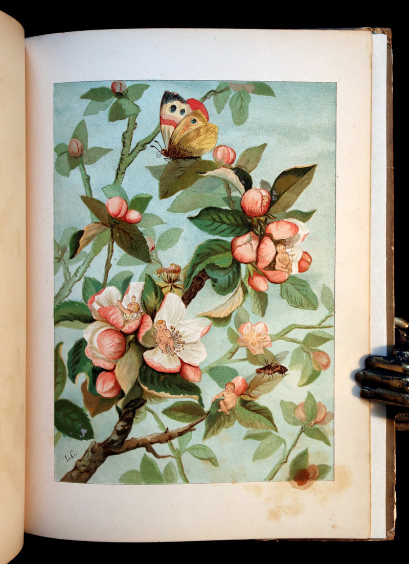 1882 Scarce Victorian FAIRY Book ~ LOUISE CLARKSON FLY-AWAY FAIRIES AND BABY-BLOSSOMS. 1stED.