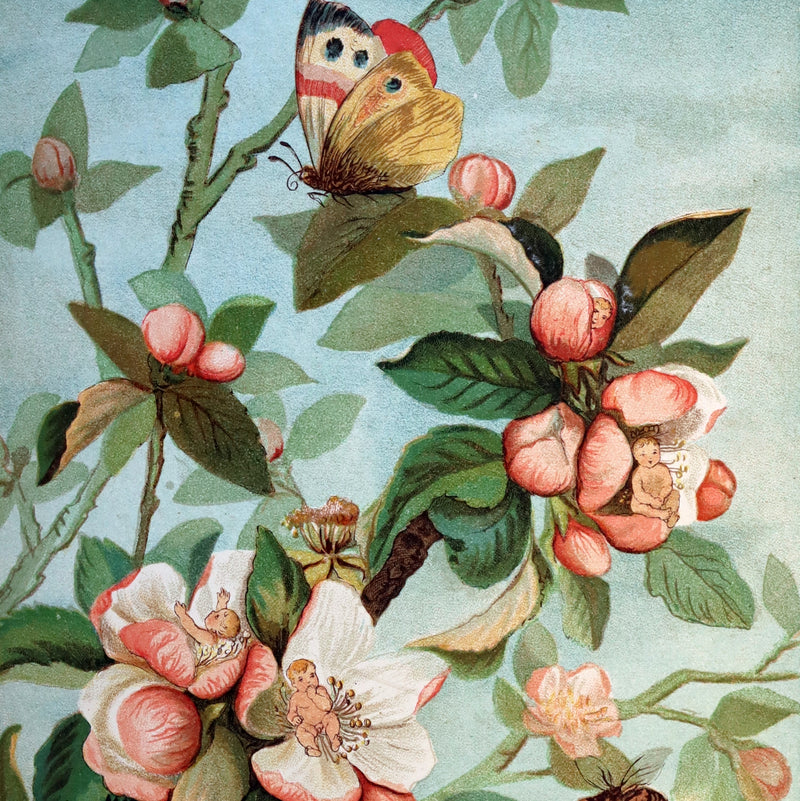 1882 Scarce Victorian FAIRY Book ~ LOUISE CLARKSON FLY-AWAY FAIRIES AND BABY-BLOSSOMS. 1stED.