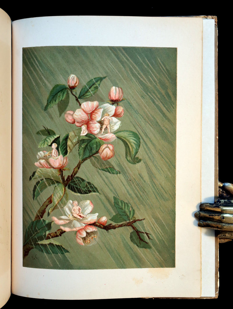 1882 Scarce Victorian FAIRY Book ~ LOUISE CLARKSON FLY-AWAY FAIRIES AND BABY-BLOSSOMS. 1stED.