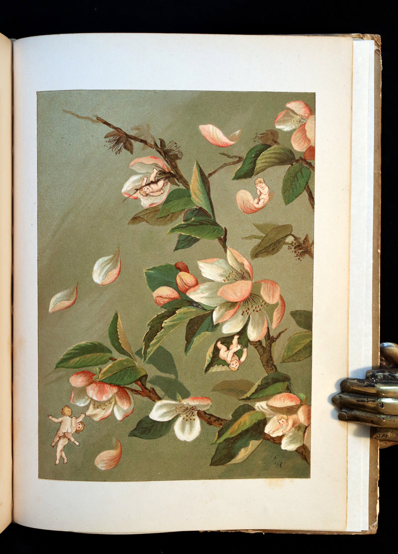 1882 Scarce Victorian FAIRY Book ~ LOUISE CLARKSON FLY-AWAY FAIRIES AND BABY-BLOSSOMS. 1stED.