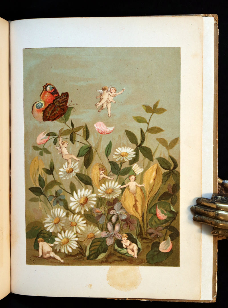 1882 Scarce Victorian FAIRY Book ~ LOUISE CLARKSON FLY-AWAY FAIRIES AND BABY-BLOSSOMS. 1stED.