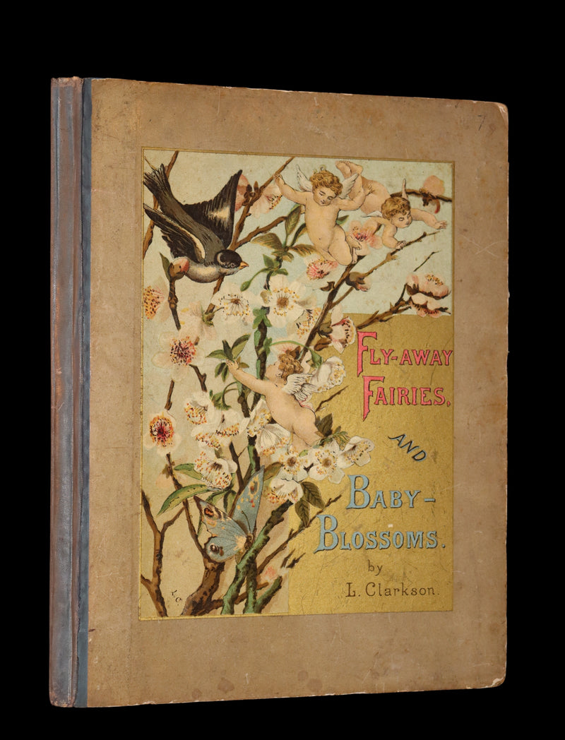 1882 Scarce Victorian FAIRY Book ~ LOUISE CLARKSON FLY-AWAY FAIRIES AND BABY-BLOSSOMS. 1stED.