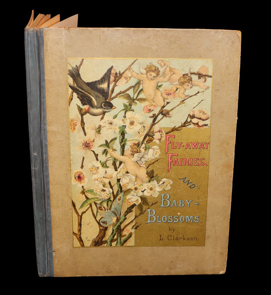 1882 Scarce Victorian FAIRY Book ~ LOUISE CLARKSON FLY-AWAY FAIRIES AND BABY-BLOSSOMS. 1stED.