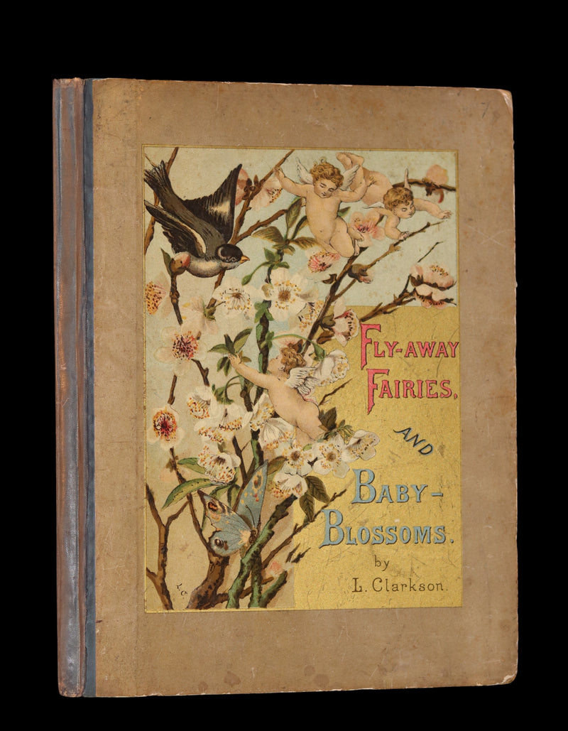 1882 Scarce Victorian FAIRY Book ~ LOUISE CLARKSON FLY-AWAY FAIRIES AND BABY-BLOSSOMS. 1stED.