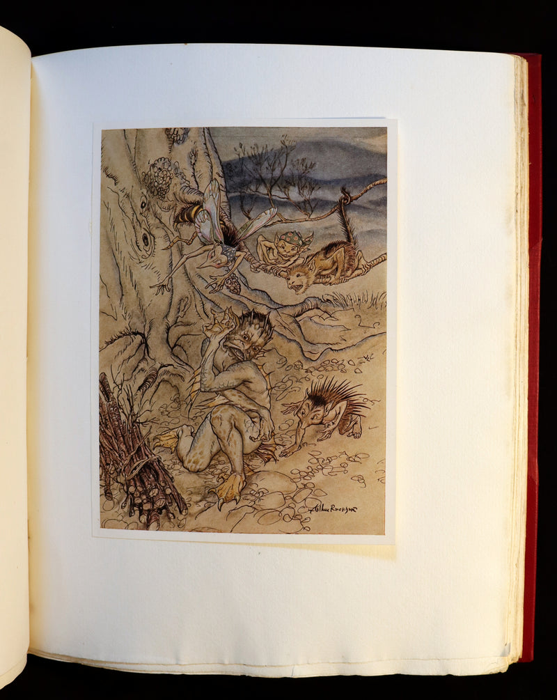 1926 Rare First Edition - THE TEMPEST by Shakespeare illustrated and SIGNED by RACKHAM.