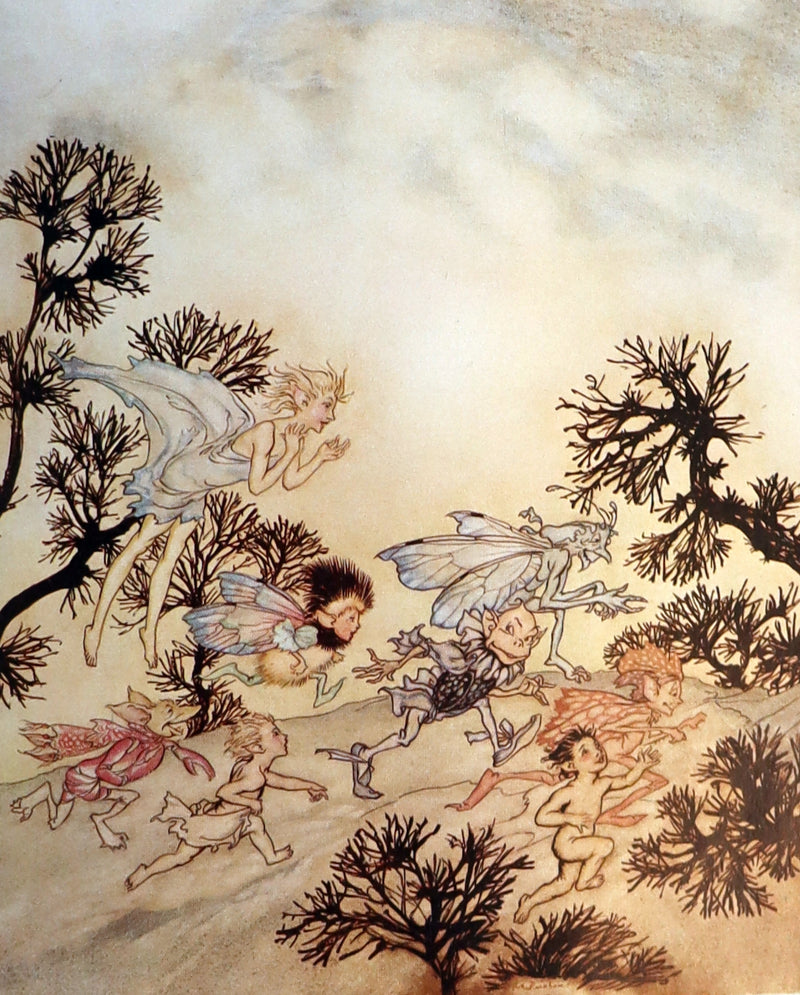 1926 Rare First Edition - THE TEMPEST by Shakespeare illustrated and SIGNED by RACKHAM.