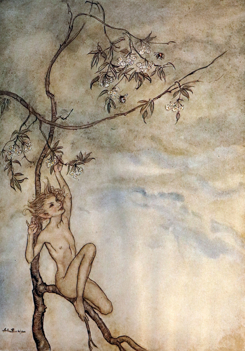 1926 Rare First Edition - THE TEMPEST by Shakespeare illustrated and SIGNED by RACKHAM.