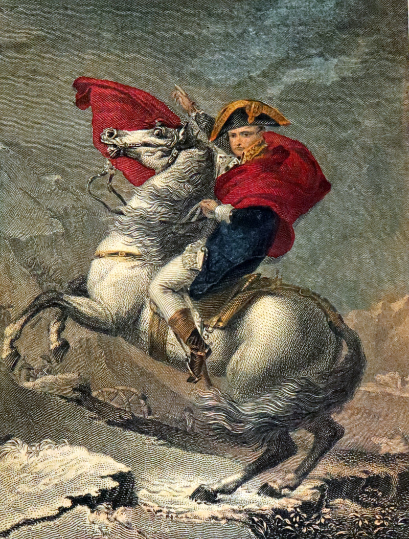 1829 Scarce book set bound by BAYNTUN ~ The History of NAPOLEON BUONAPARTE, illustrated.