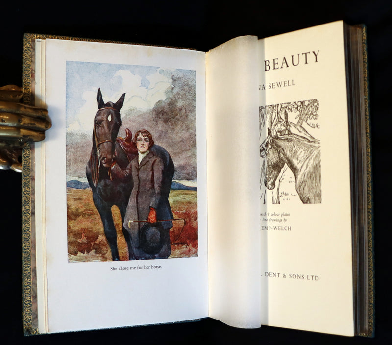1966 Rare Bayntun for Brentano's binding - BLACK BEAUTY by Anna Sewell illustrated by Lucy Kemp-Welch.
