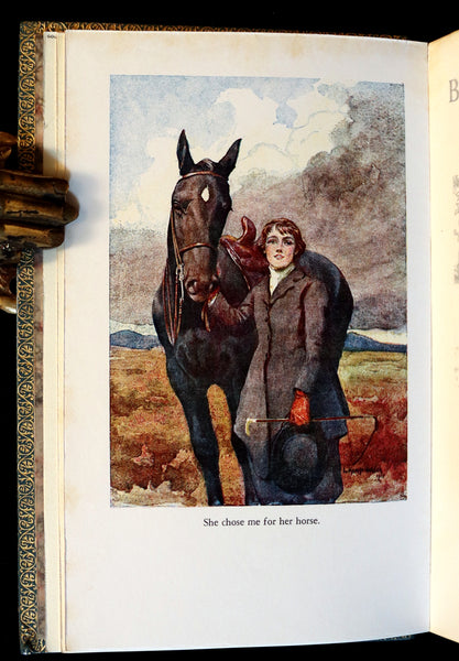 1966 Rare Bayntun for Brentano's binding - BLACK BEAUTY by Anna Sewell illustrated by Lucy Kemp-Welch.