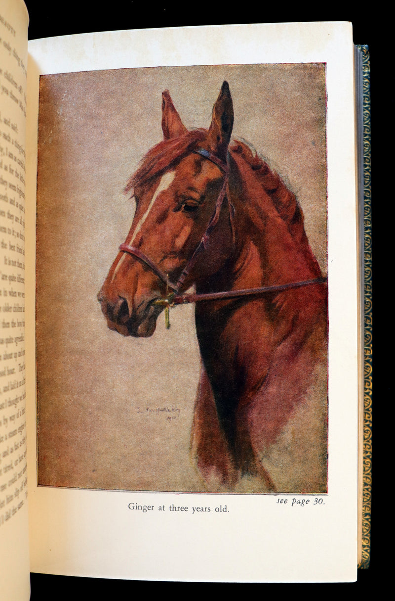 1966 Rare Bayntun for Brentano's binding - BLACK BEAUTY by Anna Sewell illustrated by Lucy Kemp-Welch.