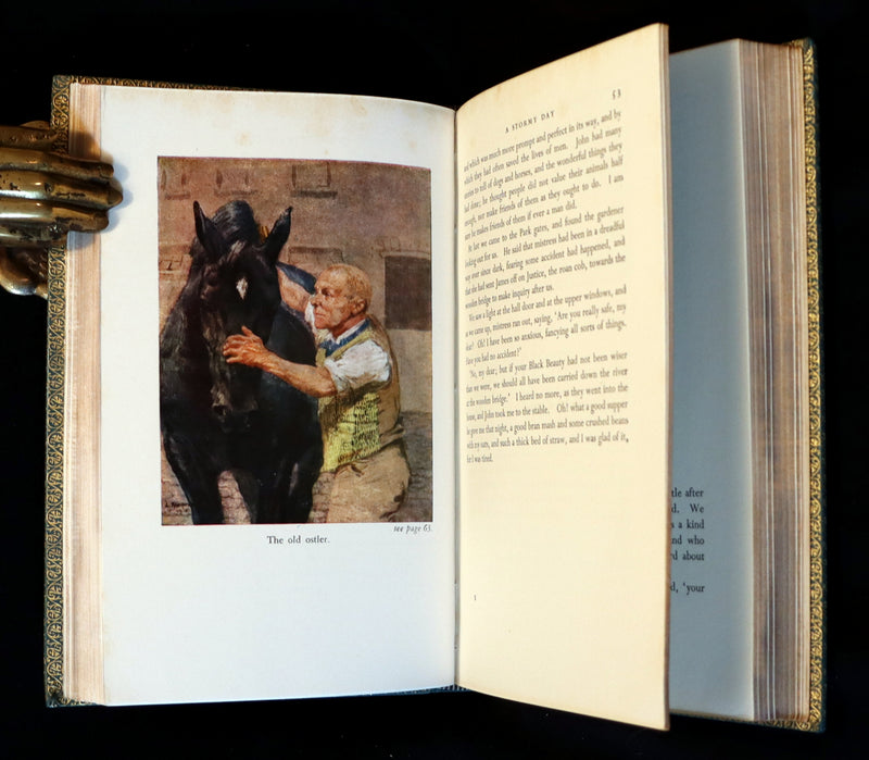 1966 Rare Bayntun for Brentano's binding - BLACK BEAUTY by Anna Sewell illustrated by Lucy Kemp-Welch.