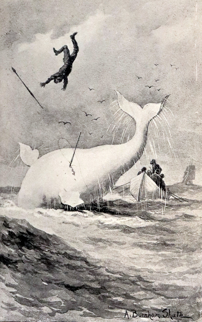 1922 Rare Book - MOBY DICK or The White Whale by Herman Melville illustrated by Augustus Burnham Shute.