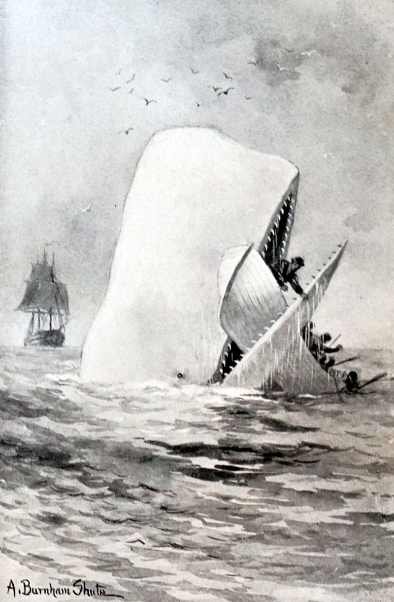 1922 Rare Book - MOBY DICK or The White Whale by Herman Melville illustrated by Augustus Burnham Shute.