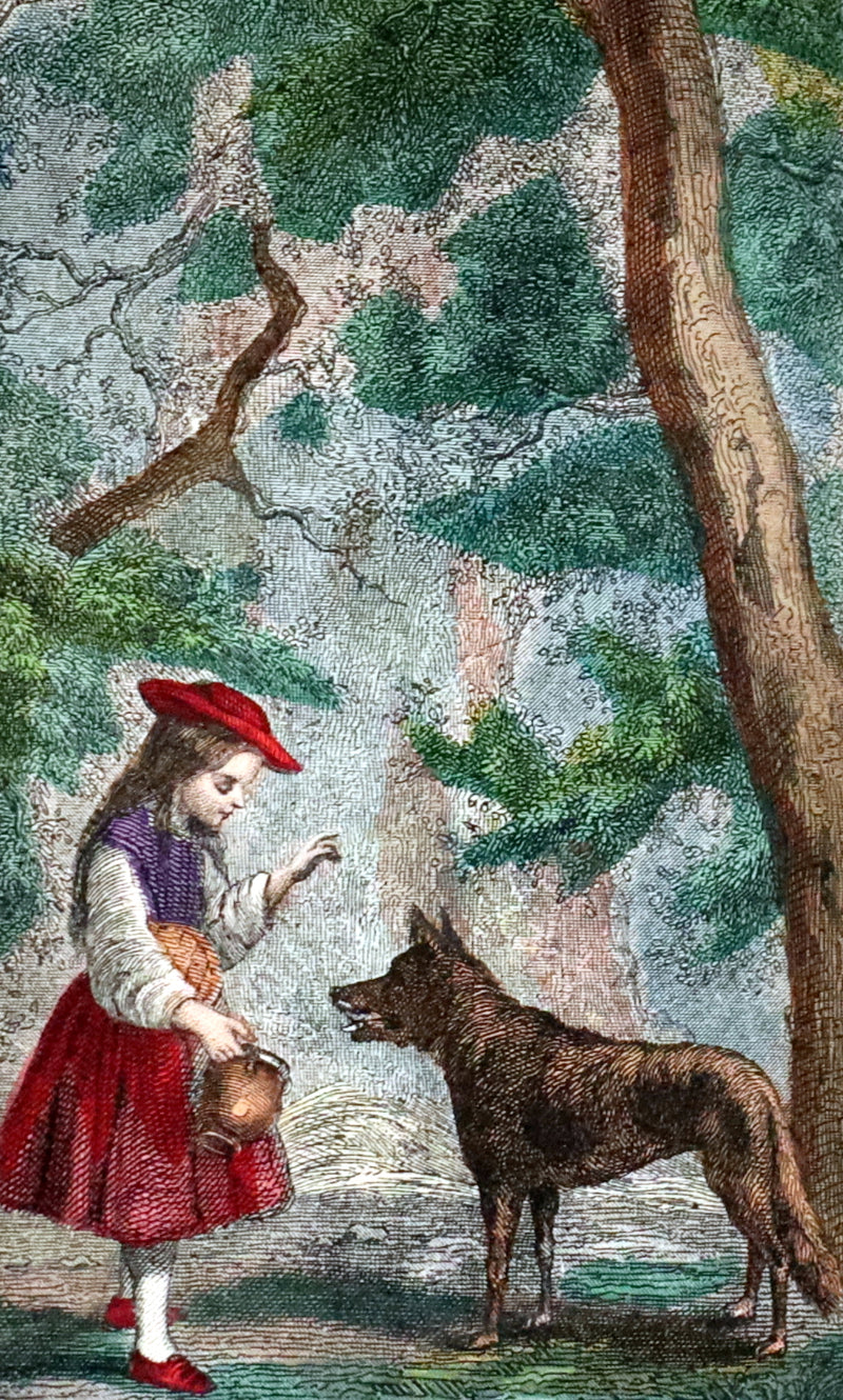 1890 Scarce color illustrated French Book ~ Contes des Fees by Charles Perrault - Fairy Tales.