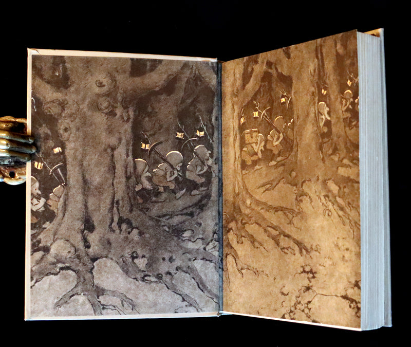 1920 Rare 1stED Book - THE PRINCESS AND THE GOBLIN Illustrated by Jessie Willcox Smith.