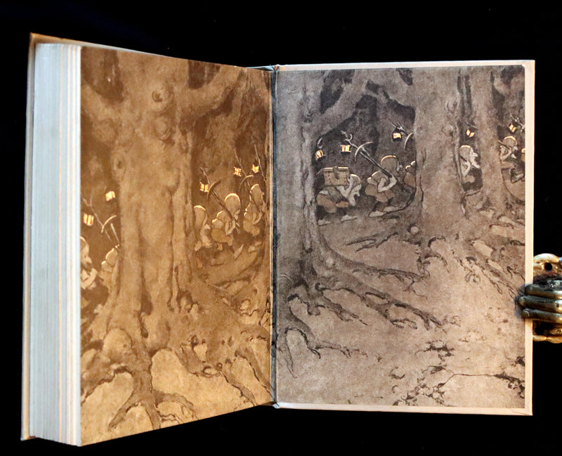 1920 Rare 1stED Book - THE PRINCESS AND THE GOBLIN Illustrated by Jessie Willcox Smith.