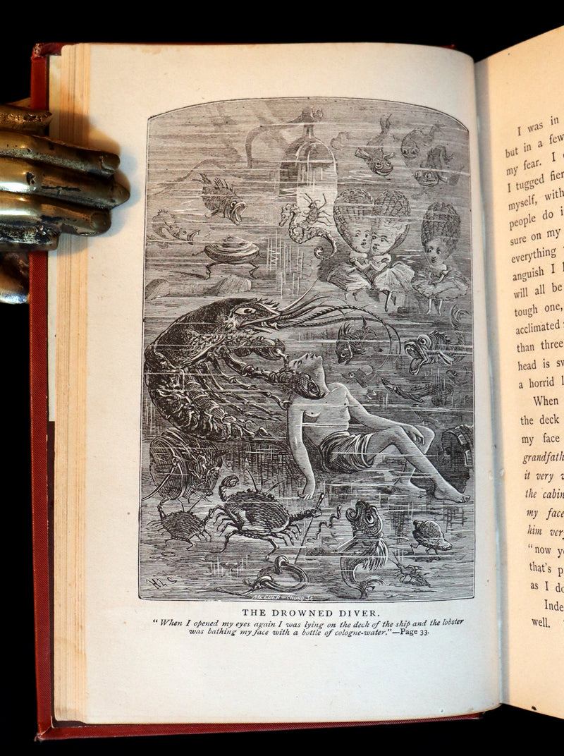 1879 Rare Victorian Book ~ Treasures from FAIRY LAND by Raymond and Greenwood.