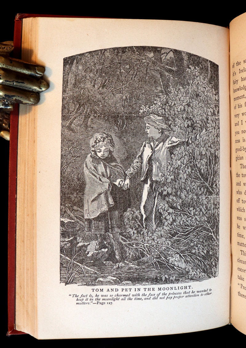 1879 Rare Victorian Book ~ Treasures from FAIRY LAND by Raymond and Greenwood.
