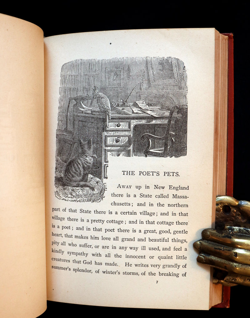 1879 Rare Victorian Book ~ Treasures from FAIRY LAND by Raymond and Greenwood.