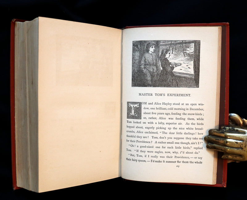 1879 Rare Victorian Book ~ Treasures from FAIRY LAND by Raymond and Greenwood.