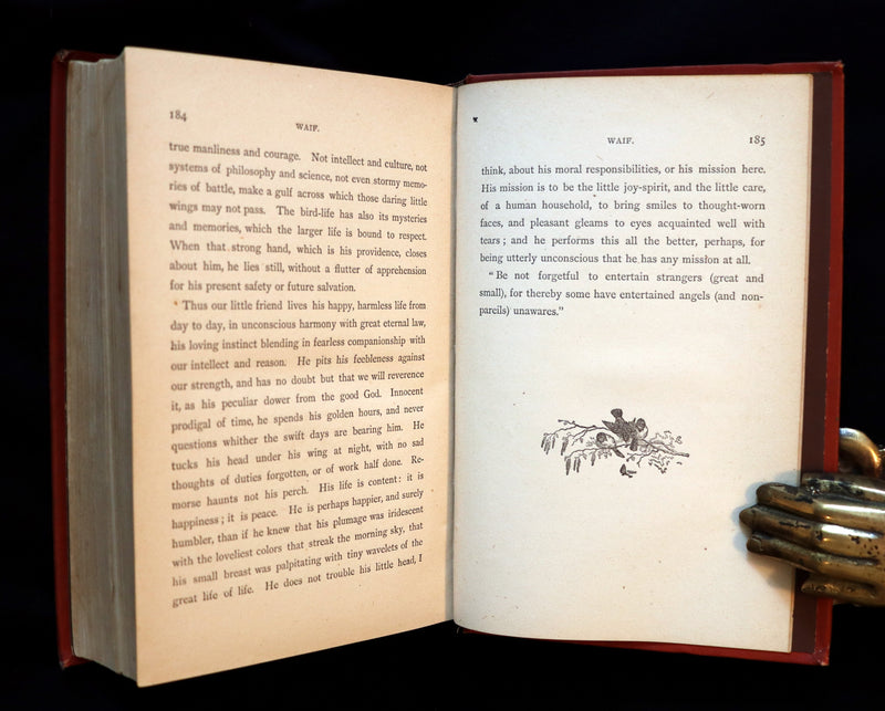 1879 Rare Victorian Book ~ Treasures from FAIRY LAND by Raymond and Greenwood.