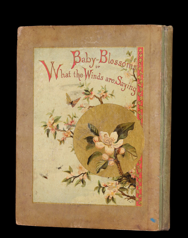 1882 Scarce Victorian FAIRY Book ~ LOUISE CLARKSON FLY-AWAY FAIRIES AND BABY-BLOSSOMS. First Edition.