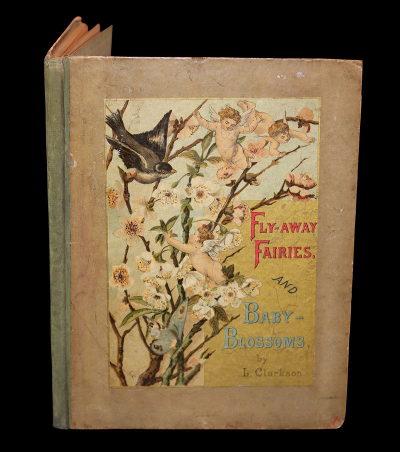 1882 Scarce Victorian FAIRY Book ~ LOUISE CLARKSON FLY-AWAY FAIRIES AND BABY-BLOSSOMS. First Edition.