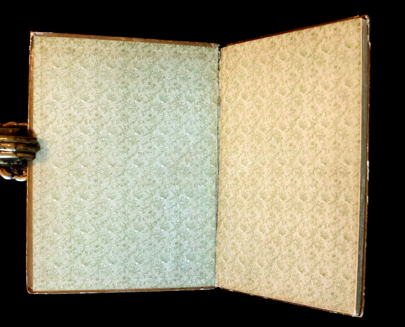 1882 Scarce Victorian FAIRY Book ~ LOUISE CLARKSON FLY-AWAY FAIRIES AND BABY-BLOSSOMS. First Edition.