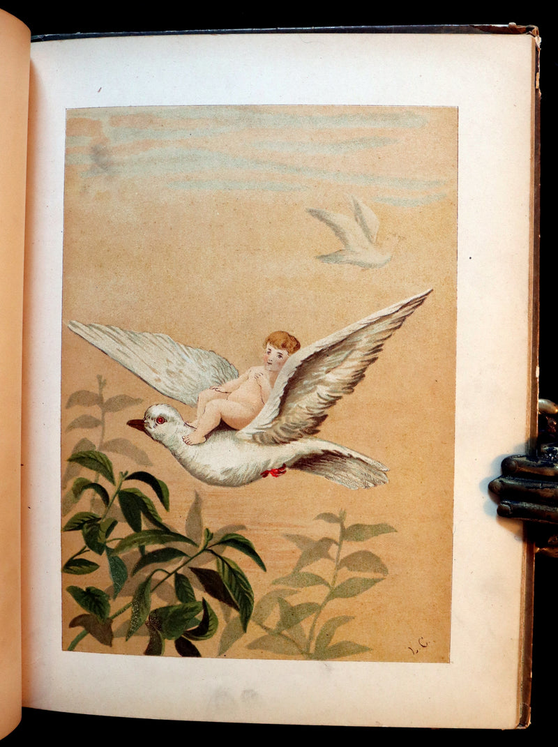1882 Scarce Victorian FAIRY Book ~ LOUISE CLARKSON FLY-AWAY FAIRIES AND BABY-BLOSSOMS. First Edition.