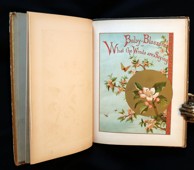 1882 Scarce Victorian FAIRY Book ~ LOUISE CLARKSON FLY-AWAY FAIRIES AND BABY-BLOSSOMS. First Edition.