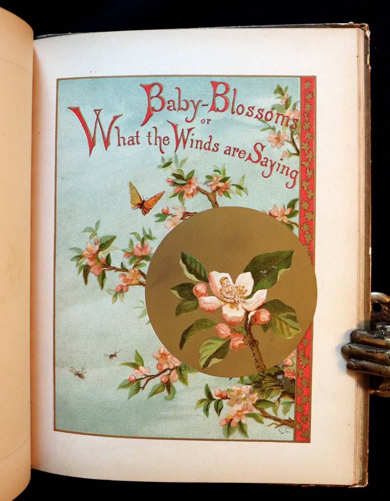 1882 Scarce Victorian FAIRY Book ~ LOUISE CLARKSON FLY-AWAY FAIRIES AND BABY-BLOSSOMS. First Edition.