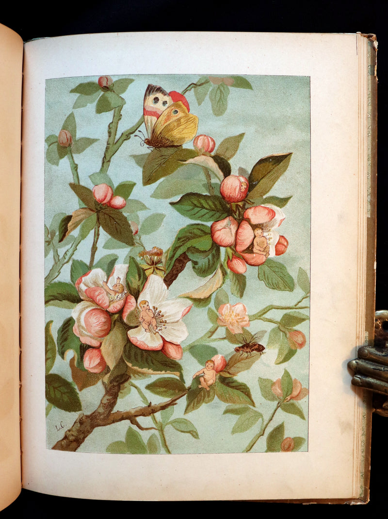 1882 Scarce Victorian FAIRY Book ~ LOUISE CLARKSON FLY-AWAY FAIRIES AND BABY-BLOSSOMS. First Edition.