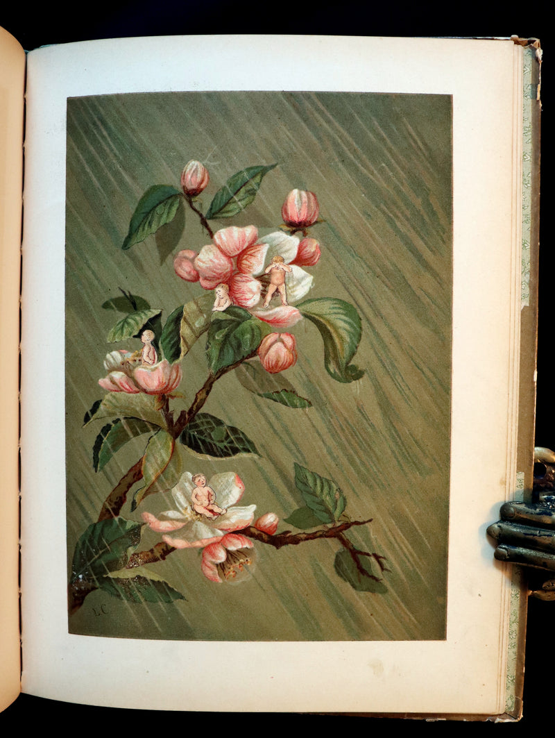 1882 Scarce Victorian FAIRY Book ~ LOUISE CLARKSON FLY-AWAY FAIRIES AND BABY-BLOSSOMS. First Edition.