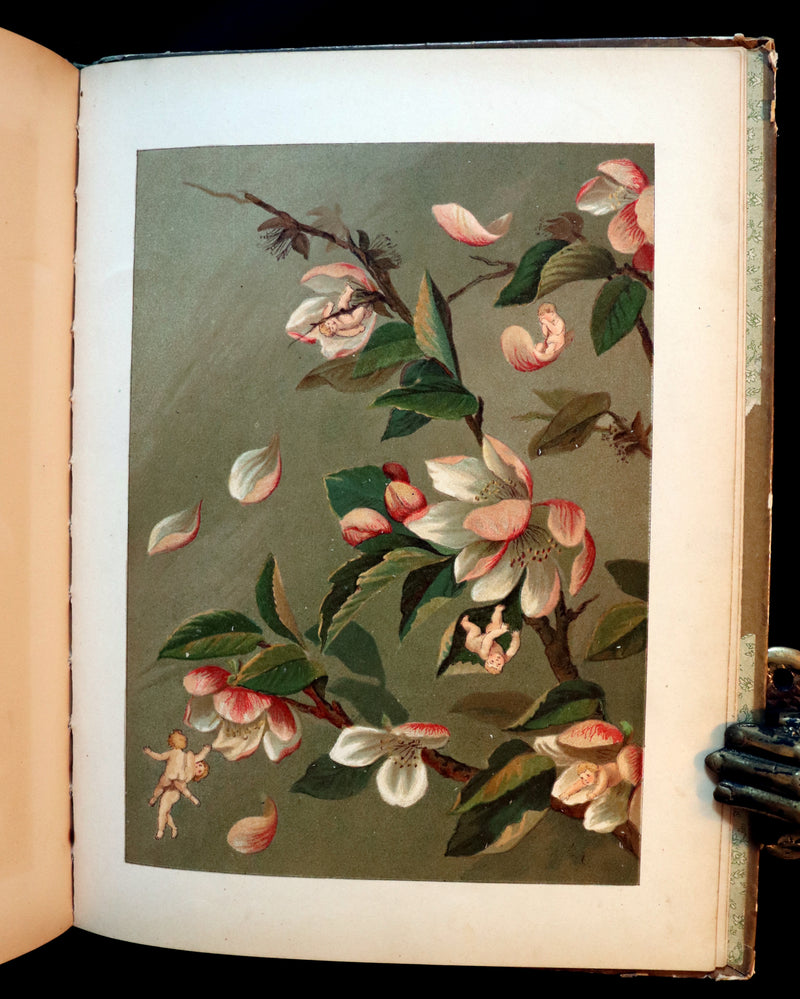 1882 Scarce Victorian FAIRY Book ~ LOUISE CLARKSON FLY-AWAY FAIRIES AND BABY-BLOSSOMS. First Edition.