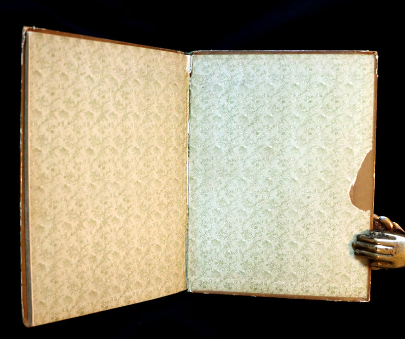 1882 Scarce Victorian FAIRY Book ~ LOUISE CLARKSON FLY-AWAY FAIRIES AND BABY-BLOSSOMS. First Edition.