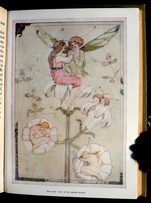 1920 Rare Edition - Hans Christian Andersen FAIRY TALES illustrated by CECILE WALTON.