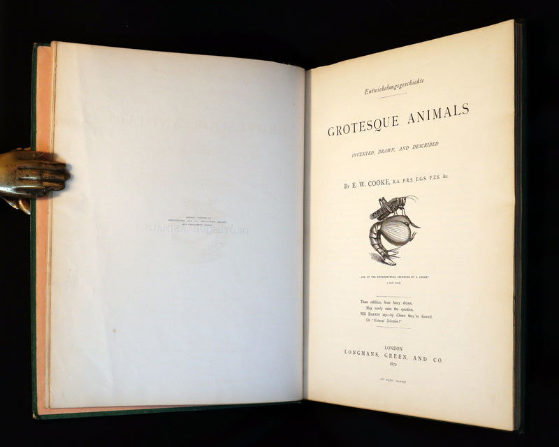 1872 Scarce First Edition - GROTESQUE ANIMALS Invented, Drawn and Described by E.W. Cooke.