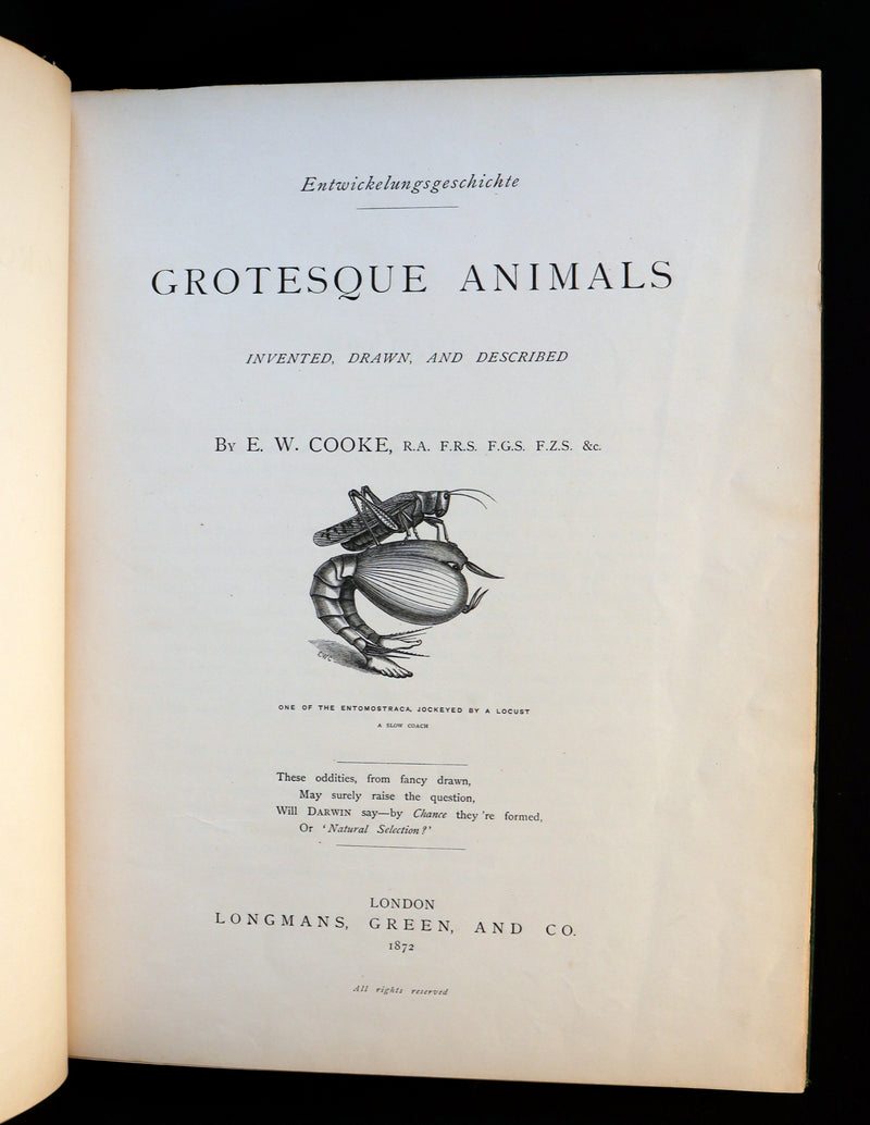 1872 Scarce First Edition - GROTESQUE ANIMALS Invented, Drawn and Described by E.W. Cooke.