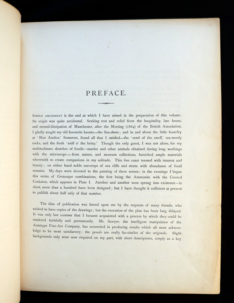 1872 Scarce First Edition - GROTESQUE ANIMALS Invented, Drawn and Described by E.W. Cooke.