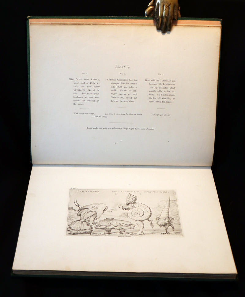 1872 Scarce First Edition - GROTESQUE ANIMALS Invented, Drawn and Described by E.W. Cooke.