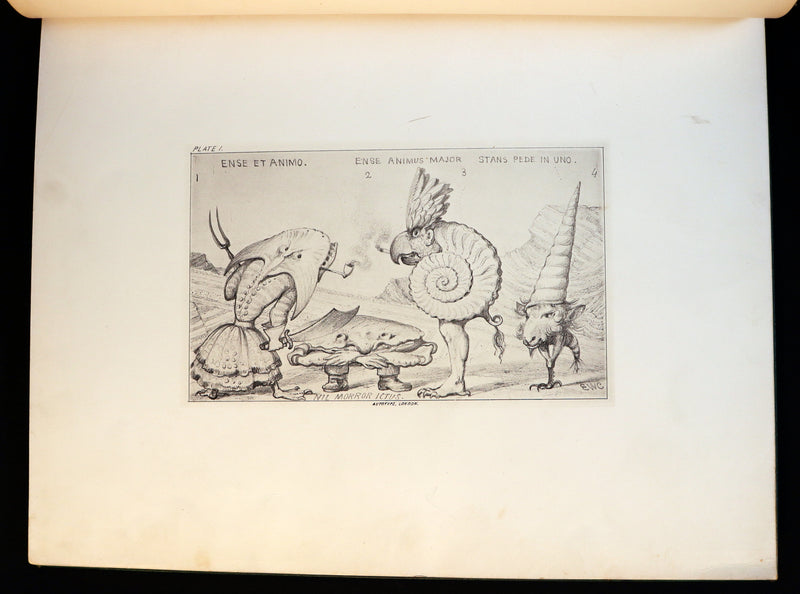 1872 Scarce First Edition - GROTESQUE ANIMALS Invented, Drawn and Described by E.W. Cooke.