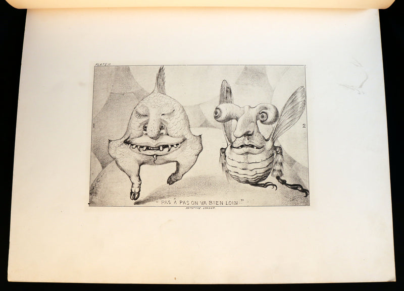 1872 Scarce First Edition - GROTESQUE ANIMALS Invented, Drawn and Described by E.W. Cooke.