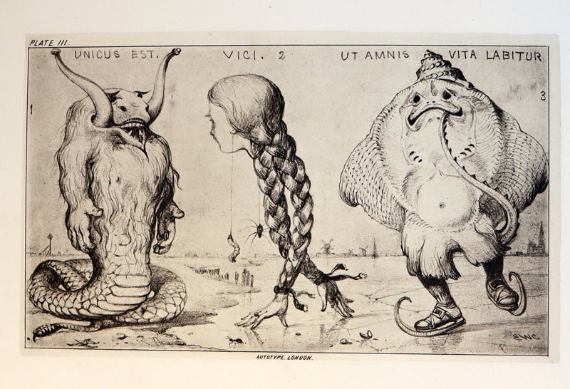 1872 Scarce First Edition - GROTESQUE ANIMALS Invented, Drawn and Described by E.W. Cooke.