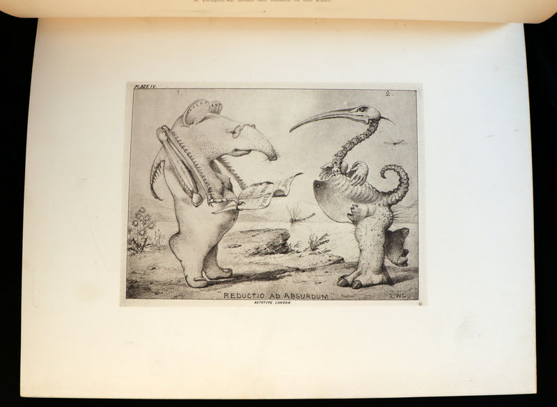 1872 Scarce First Edition - GROTESQUE ANIMALS Invented, Drawn and Described by E.W. Cooke.