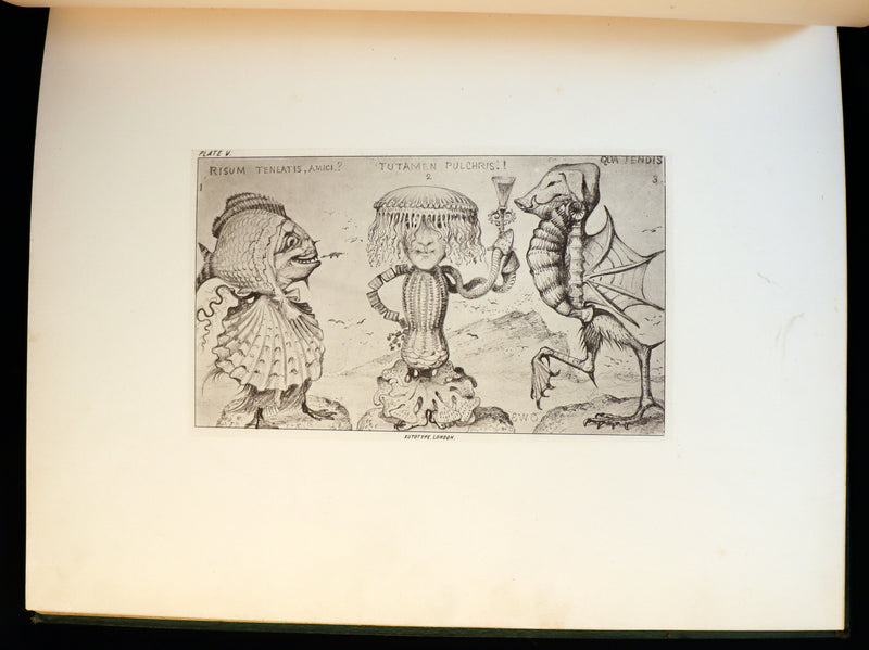 1872 Scarce First Edition - GROTESQUE ANIMALS Invented, Drawn and Described by E.W. Cooke.