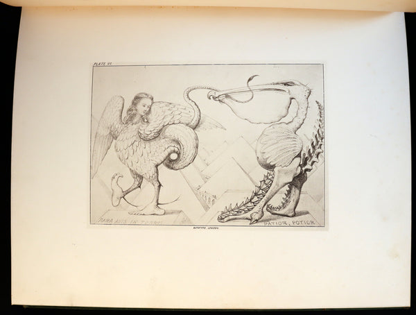 1872 Scarce First Edition - GROTESQUE ANIMALS Invented, Drawn and Described by E.W. Cooke.