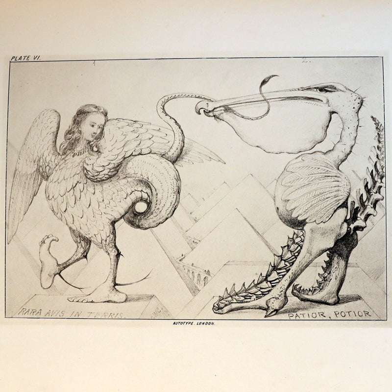 1872 Scarce First Edition - GROTESQUE ANIMALS Invented, Drawn and Described by E.W. Cooke.